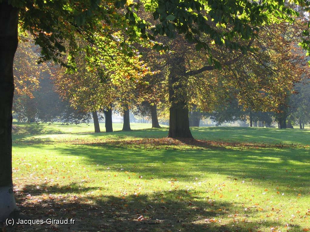 2005-10-28 13-51-08 deyeuro 112,7mm 1_125_eme f4,9(x1024).jpg